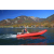 Grabner Motorboot MUSTANG RASANT ELEGANT